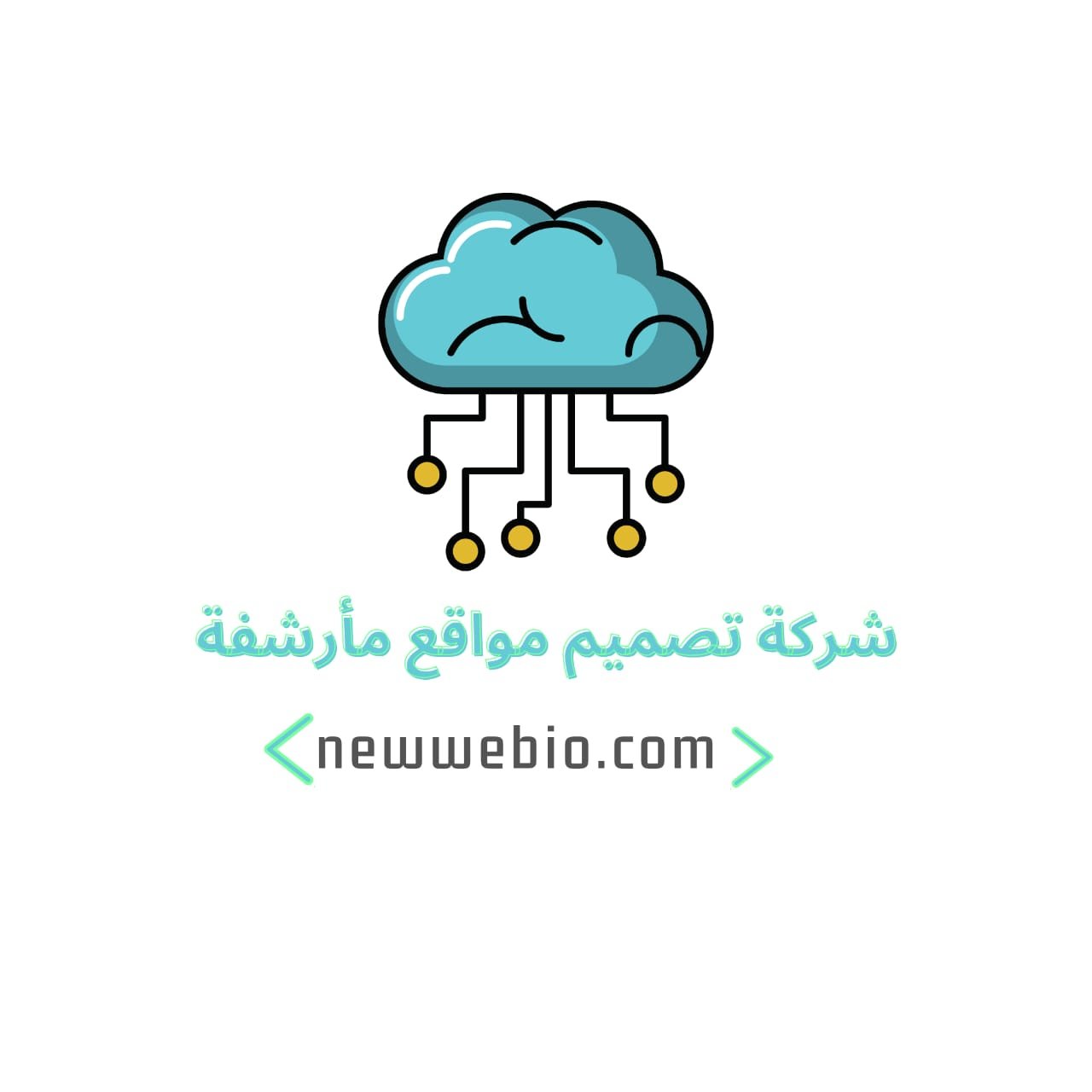 whatsapp image 2026 03 05 at 8.24.51 am